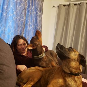 Meet your Posher, Ali